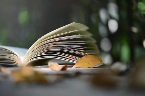新鄉(xiāng)市新華書店文學類圖書周榜 文藝創(chuàng)作類熱銷精選